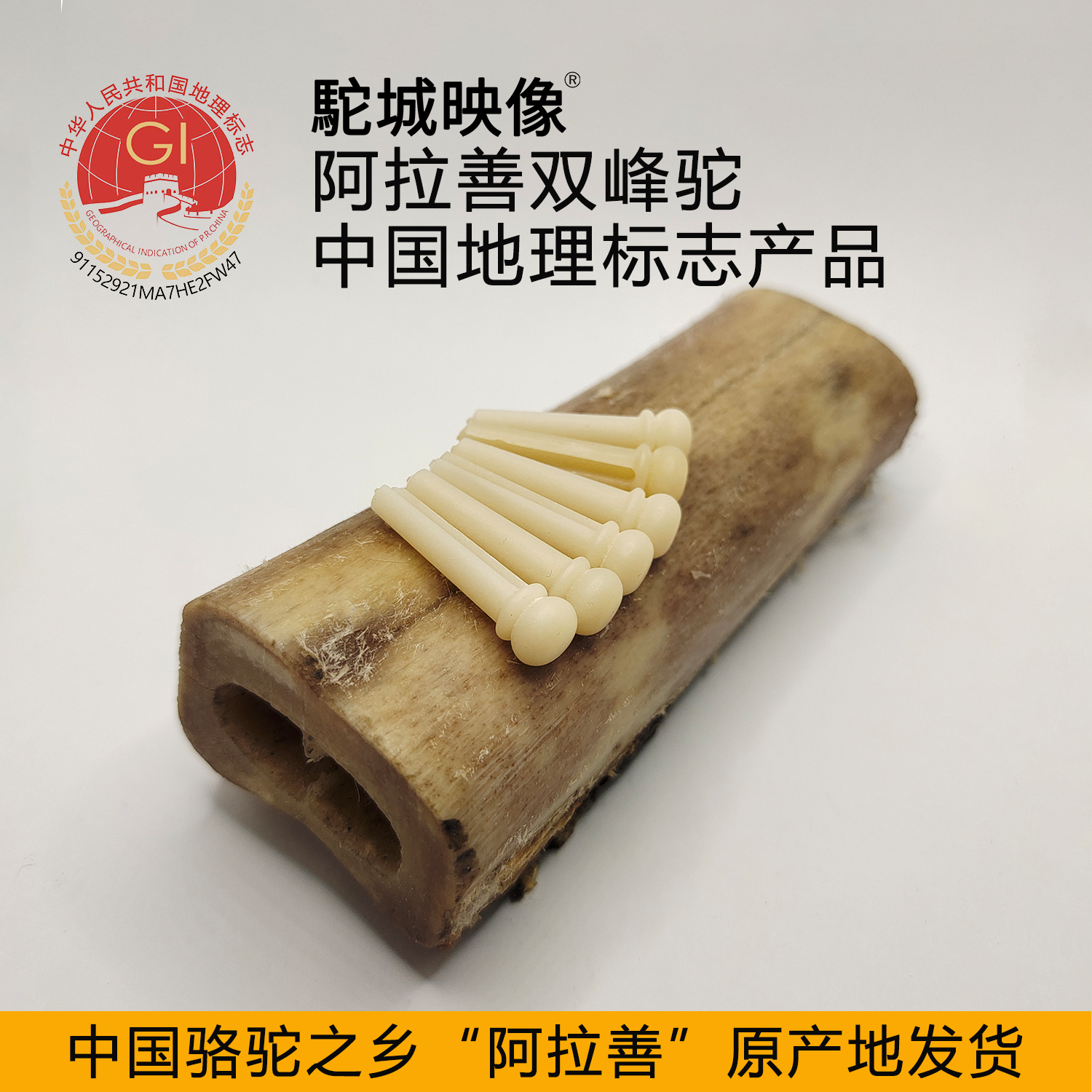 民谣木吉他骆驼骨弦钉 专业固弦锥弦柱压弦器 延音卡柱琴锥配件