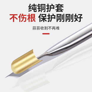 抽蒜薹神器蒜苔收割刀蒜苔器的工具刮划剥拔打蒜苔神器蒜薹收割刀