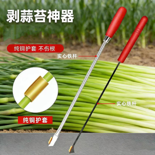 剥蒜苔神器拔揪剥刮打蒜苔蒜薹刀家用收割蒜苔刀不伤根蒜苗收割刀