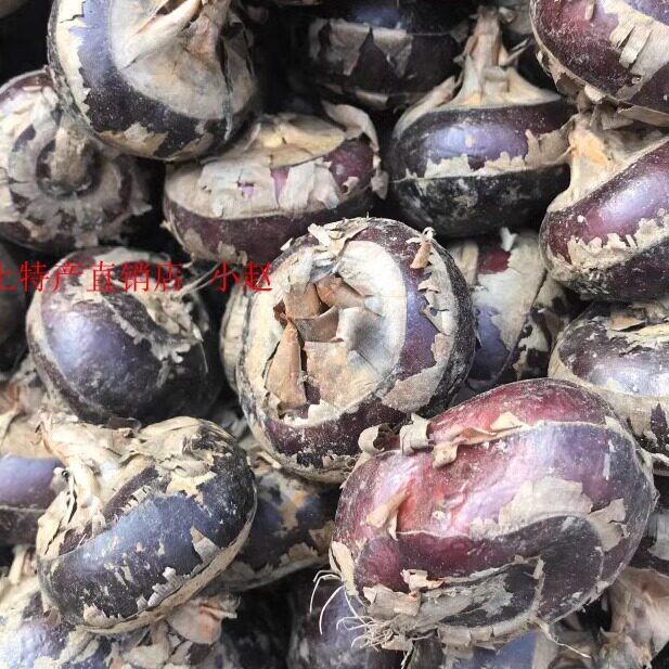 湖北马蹄荸荠新鲜地梨当季水果马蹄果现挖一斤7元拍5斤包邮