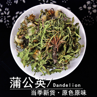 蒲公英中药材静萱正品 野生整颗蒲公英茶婆婆丁粉仆公英干黄花地丁