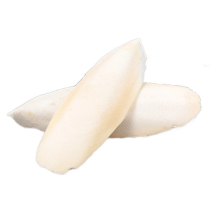 海螵蛸中药材静萱正品墨鱼骨海螵蛸粉药用大块乌贼骨墨鱼盖乌鲗骨