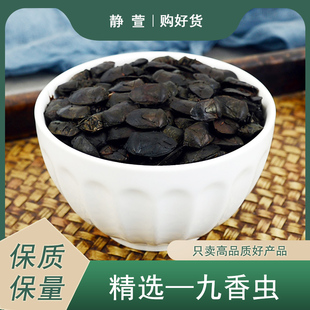 九香虫中药材静萱正品黑兜虫瓜黑蝽屁板虫生屁巴虫干非炒九香虫粉