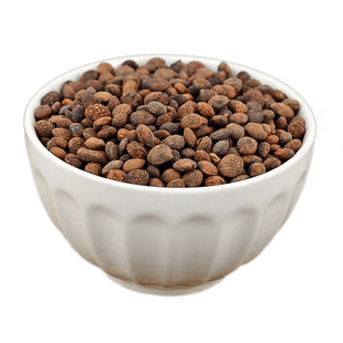 蕤仁中药材静萱正品蕤核仁芮仁肉锐仁瑞仁蕤子白桵仁非野生蕤仁粉