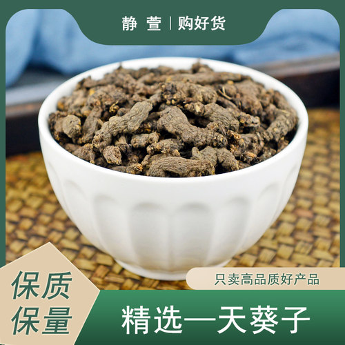 天葵子中药材正品天葵根地丁子