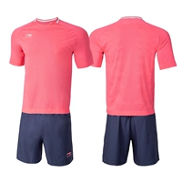 Флуоресцентный порошок 037-4