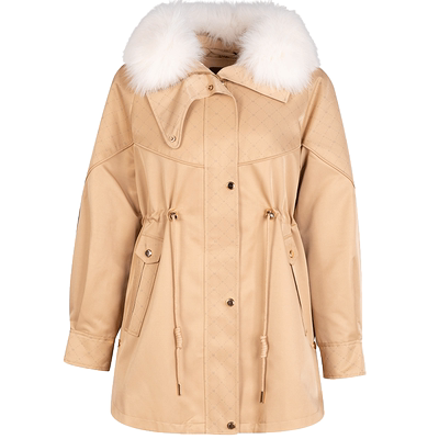 克服CONATUS/珂尼蒂思