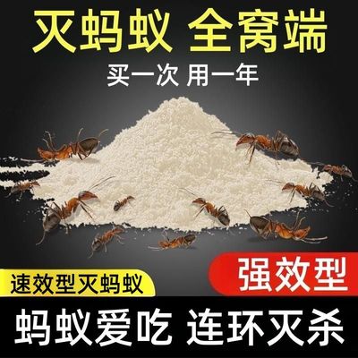强效蚂蚁药家用全窝端室内非无毒杀蚁饵剂白蚁防治虫卵防治专用药