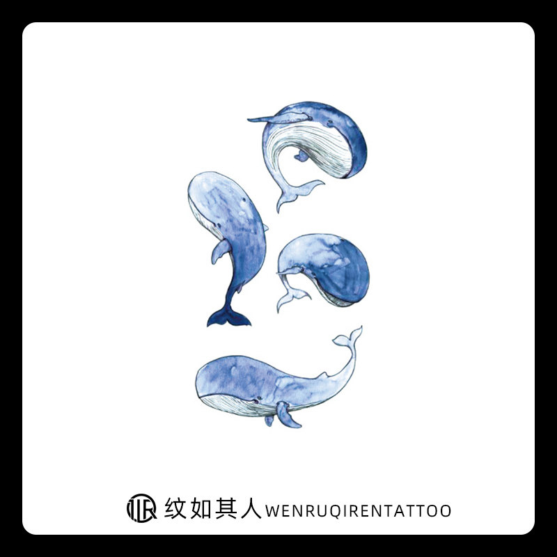 可爱小鲸鱼纹身贴防水 ins风小清新手绘彩色海洋动物图案纹身贴纸