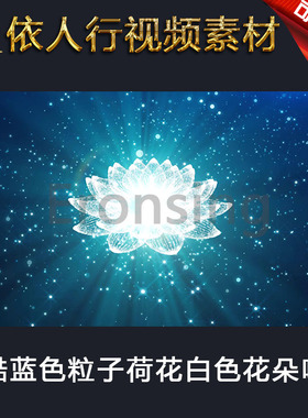 LED素材大屏幕舞台视频背景素材 炫酷蓝色粒子荷花白色花朵唯美
