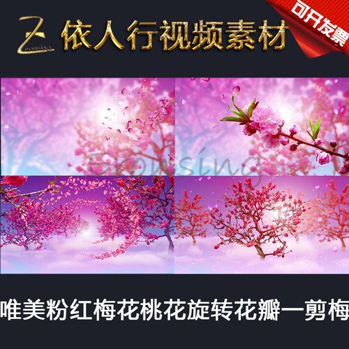 LED素材VJ大屏幕舞台视频背景素材 粉红梅花桃花旋转花瓣一剪梅