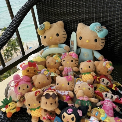 在夏威夷实现黑皮kitty自由啦～夏天bi备的包挂集合，耐脏又百搭