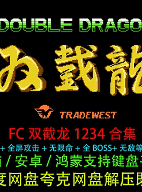 FC双截龙PC电脑安卓苹果单机游戏