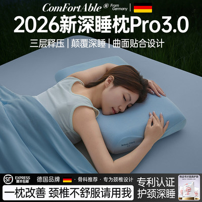 德国慢回弹三芯记忆棉护颈枕头