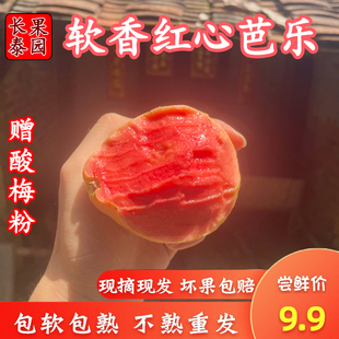 包邮 福建当季 奶油红心番石榴芭乐软糯水果低糖巴乐鸡屎果新鲜5斤