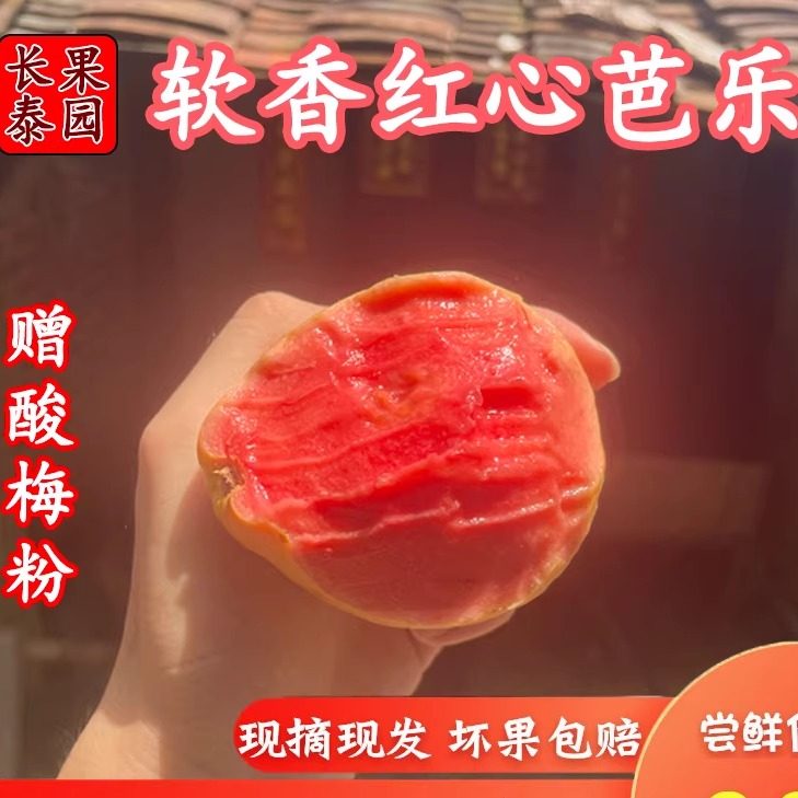 福建当季奶油红心番石榴芭乐软糯水果低糖巴乐鸡屎果新鲜5斤 包邮,水产肉类/新鲜蔬果/熟食,番石榴/芭乐,淘宝优惠券,粉丝福利购,淘宝优惠卷