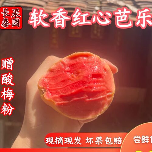 福建当季奶油红心番石榴芭乐软糯水果低糖巴乐鸡屎果新鲜5斤 包邮