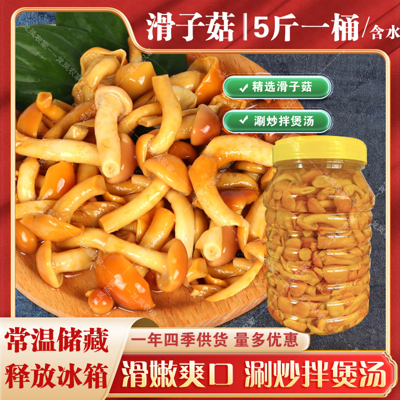 5斤滑子菇滑菇桶装含水新鲜口感滑子蘑食用菌小黄蘑涮炒拌煲汤
