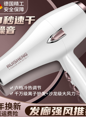 德国发型师吹风机3000发廊大功率家用强风冷热风蓝光负离子护发静