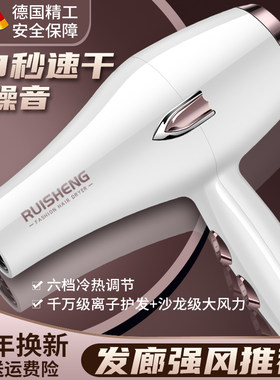 德国家用吹风机3000W负离子护发