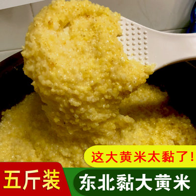 东北黏大黄米5斤新米农家粘糯黄米大黄米粽子黍子软糜子包黏豆包