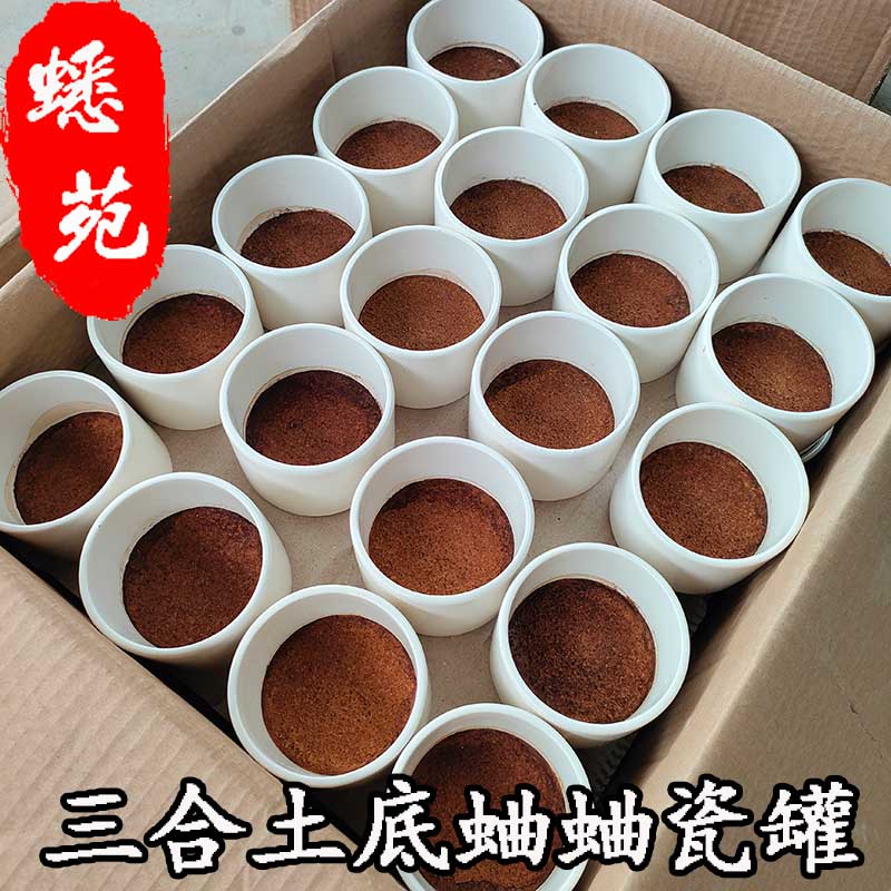 蛐蛐瓷罐蟋蟀铁皮蝈蝈油葫芦鸣虫