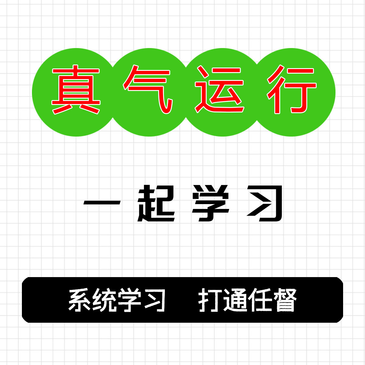 【一对一指导中老年适合】李少波真气运行法系统学习通督静功放松