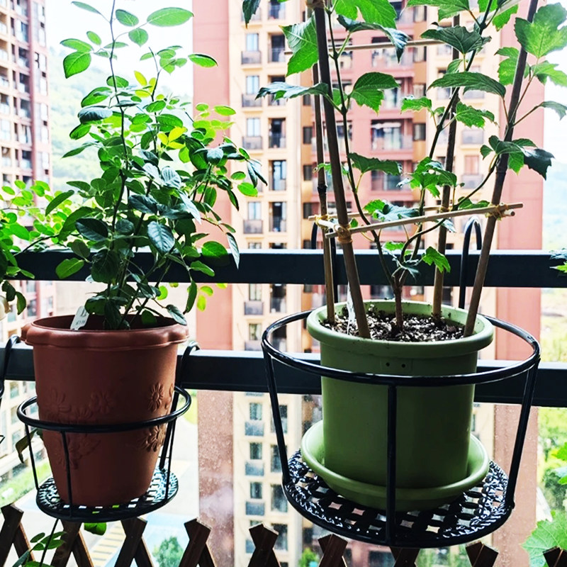 特大号悬挂式铁艺花盆架阳台栏杆图片