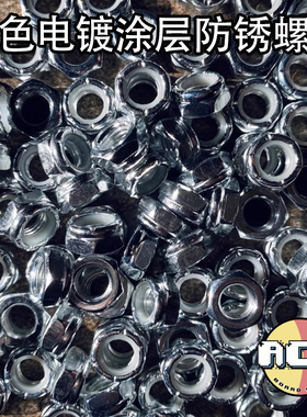 滑板长板双翘专业侧螺母支架通用电镀防锈银色螺帽包邮 ACE滑板店