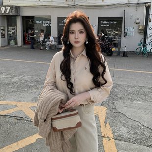 DT彦如【淡人松弛感】微胖大码女士百搭刺绣宽松休闲衬衫时尚上衣