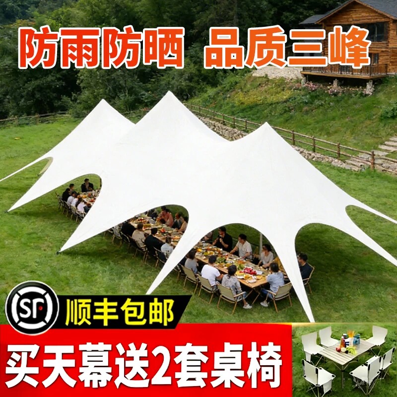 万重山八爪鱼天幕商用营地遮阳棚