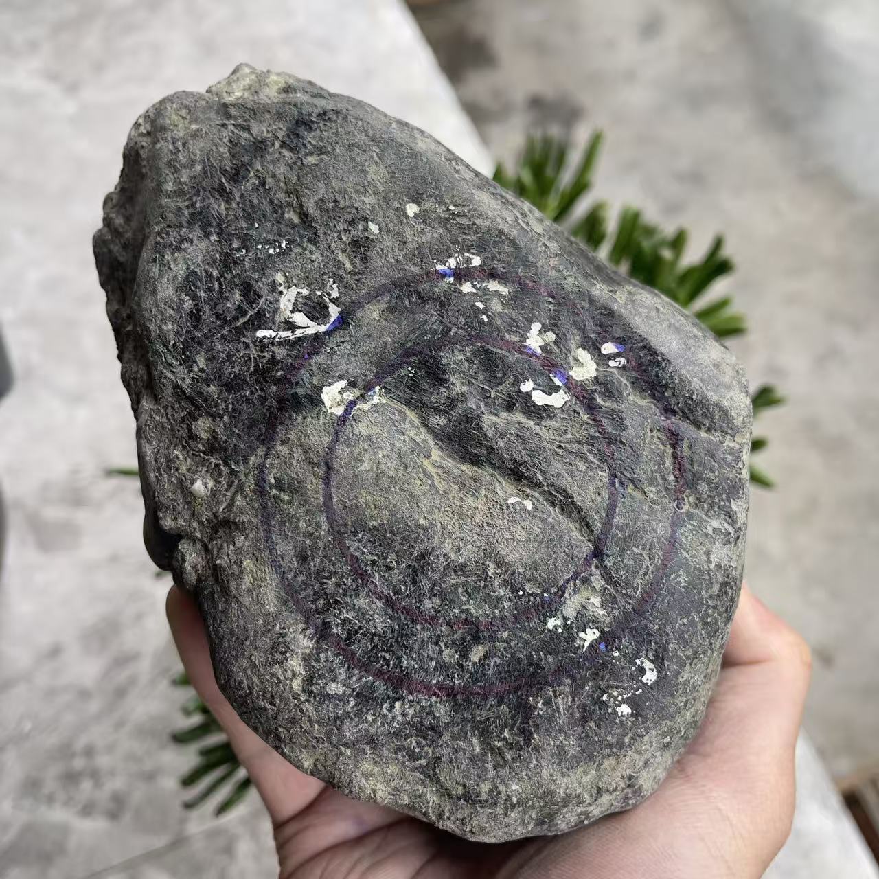 3.1kg帕敢黑乌纱缅甸天然翡翠原石毛料冰种手镯蒙包公斤料