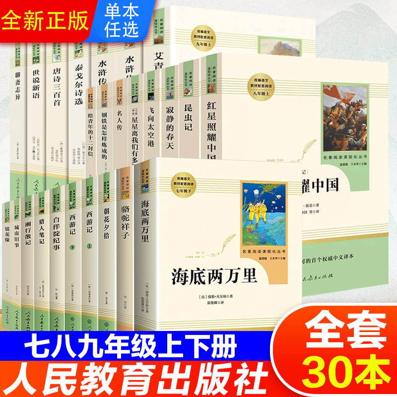 人教版名著阅读课程化丛书