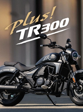 豪爵TR300摩托车国四电喷燃油机车巡航太子代步通勤省油