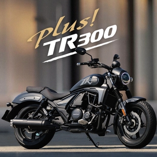 豪爵TR300摩托车国四电喷燃油机车巡航太子代步通勤省油