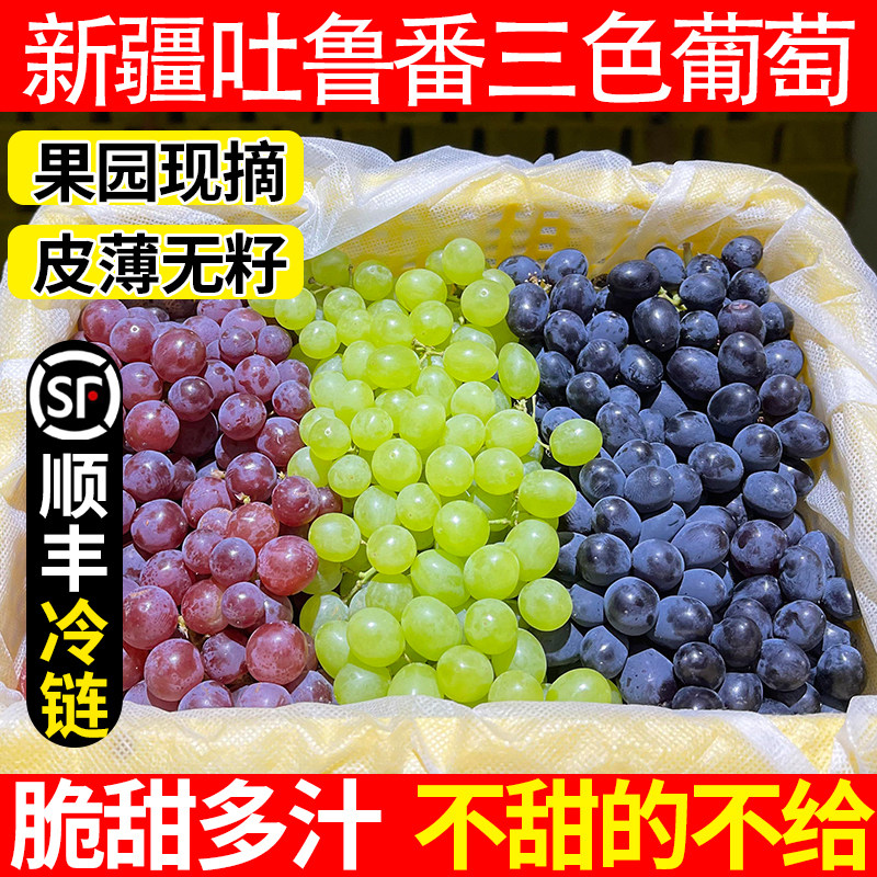 新疆三色葡萄新鲜水果应当季整箱顺丰包邮马奶提子吐鲁番无籽葡萄