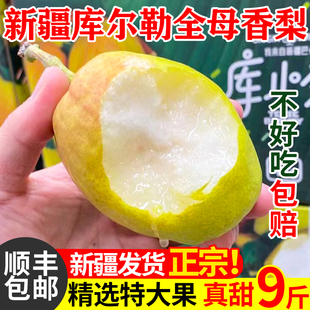 正宗新疆库尔勒香梨全母梨特级大果当季新鲜水果包邮整箱10斤梨子