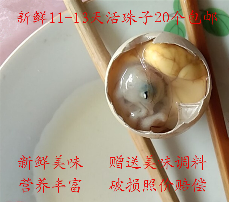热销新鲜11天土鸡蛋洋鸡蛋活珠子20个包邮鸡胚蛋喜蛋旺蛋毛蛋实蛋