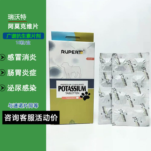 宠物牙龈炎肛腺炎阿莫西林消炎药