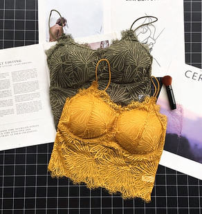 可取胸垫打底文胸少女美背 蕾丝茴香纹抹胸性感裹胸连体式 新品 时尚