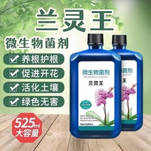 兰灵王兰科专用营养液肥料君子兰蝴蝶兰墨兰催芽生根促花EM菌群