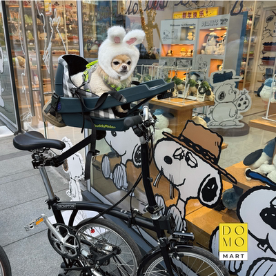 宠物自行车安全前置快拆座椅