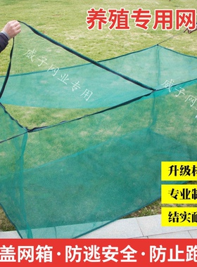 加厚带盖养鱼存鱼养殖网箱育苗网箱泥鳅鳝鱼龙虾防逃网箱定做包邮