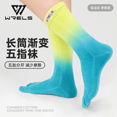 运动五指袜长筒渐变女耐磨高弹压力运动袜子男棉袜吸湿排汗分指袜