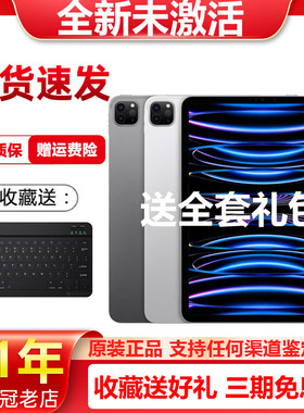 【外版零售机】 苹果iPad Pro22款 Apple平板电脑11寸/12.9