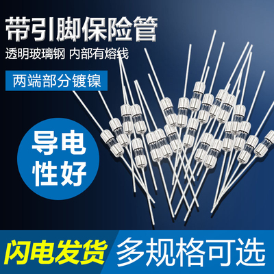 带引脚保险丝管3*10MM