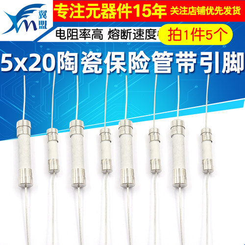 陶瓷保险管带引脚5*20