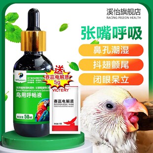 鹦鹉鸟用呼吸道药玄凤牡丹虎皮鹦鹉气喘张嘴呼吸常备药