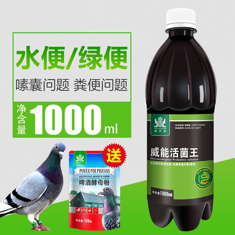 威能活菌鸽用鸽子用品肠道用肝精电解质