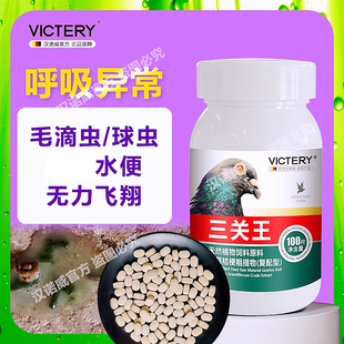 汉诺威三关王毛滴虫球虫非鸽药呼吸道肠道沙门氏菌鸽子专用大全